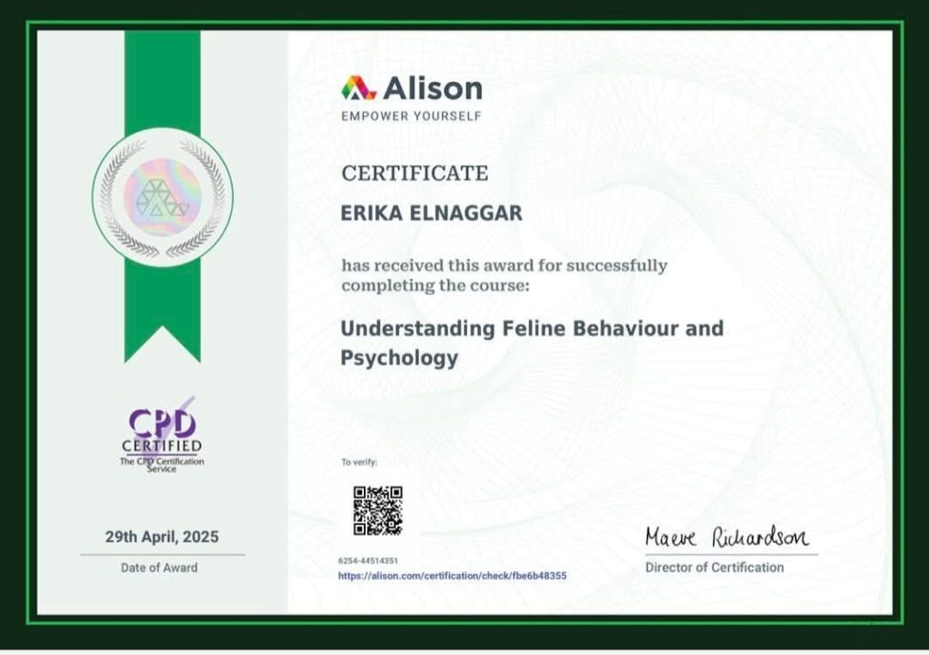 Alison CPD certificate β Understanding Feline Behaviour and Psychology